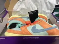 Nike SB Dunk Low Pro PRM 10.5