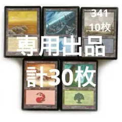 MMQ 指定絵柄 基本土地 基本地形 英語計30枚 メルカディアンマスクス 旧枠