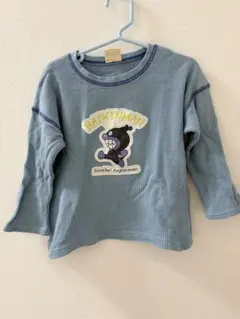 Item thumbnail for item 8fd2c817-fdc1-493c-a525-57e6dc9fa493