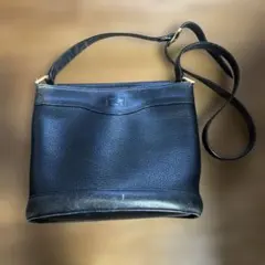 Item thumbnail for item 94ff1b02-363e-45f9-9b87-aba0aa845b79