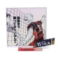 ハイキュー 月島蛍 バースデイ 名場面ジオラマフィギュア