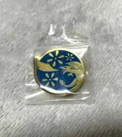 ポケモン　ご当地ピンズコレクション　リザードン