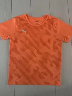 Item thumbnail for item f0c3f387-3bb6-4e6c-85e7-3488374553c0