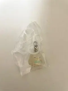 ポケモン ポケピース めじるしアクセサリーモクロー
