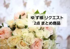 ゆ ず様 リクエスト 2点 まとめ商品