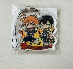 【新品】ハイキュー‼︎ J-WORLD アクキー 日向翔陽　影山飛雄