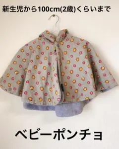 Item thumbnail for item 83cf532d-f7bb-4990-b0eb-092382c7e70d