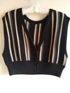 ブラックにベージュ・グレーのストライプデザイン 、ニットビスチェベスト
