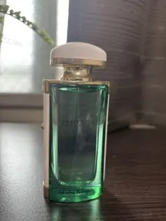 Salvatore Ferragamo EMOZIONE VERDEのサムネイル