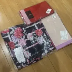 Item thumbnail for item cd472d32-cf2b-41ad-9fd4-1218ecc1997c