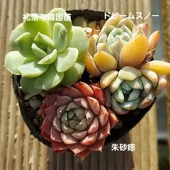 Happy♡Heart様 リクエスト 3点 まとめ商品