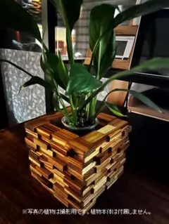 植物と光のある暮らしに／積み木風キューブ木製プランターカバー 中型 