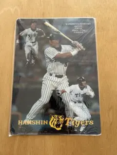 Item thumbnail for item 36fc9123-d8b4-4555-beaa-5f416443a2bf