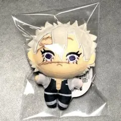 鬼滅の刃 ぬいぷりけmini4 不死川実弥