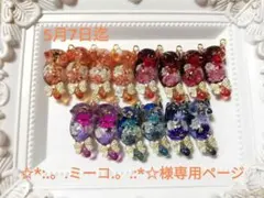 ☆*:.。.ミーコ.。.:*☆様専用ページ