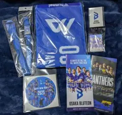 2025年最新】パナソニックパンサーズ ネックストラップの人気