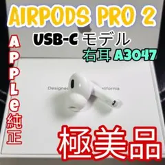 2025年最新】airpods pro 第2世代 usb-cの人気アイテム - メルカリ