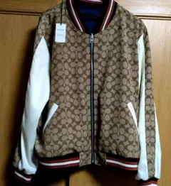 Item thumbnail for item c373e934-386e-4531-8e40-f137b70fb3b8