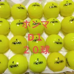 ロストボールHONMA D1　　20球セット