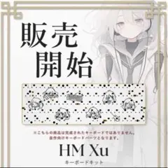 hm66 HM Xu PCBのみ