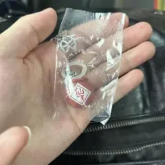 ドラゴンボールめじるしアクセサリー4 仙豆