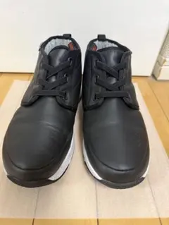 ノースフェイス NF51895