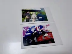 【いれいす】実写チェキ　ないこ If 悠佑