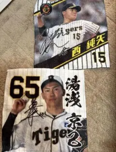 Item thumbnail for item fa15ef3e-eeaa-4314-bfc9-5986b7f8399c