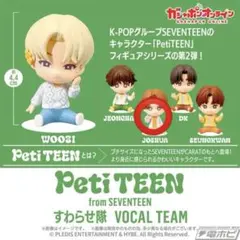 SEVENTEEN すわらせ隊　ジョシュア