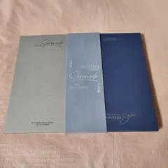 SEVENTEEN DxS Serenade ECHO ドギョム スングァン