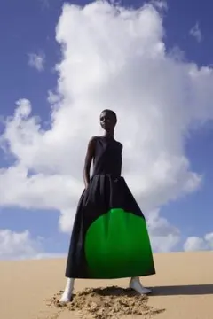 dries van noten ドリスヴァンノッテン　len lye ワンピースのサムネイル