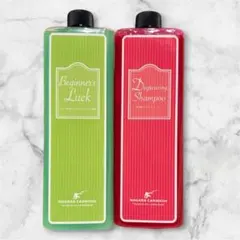 ながら洗車 ビギナーズラック 1000ml 1L クイックディテーラー 大容量