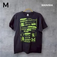 Dream Festival 2023 Tシャツ ライブ フェス WANIMA