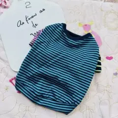 Item thumbnail for item 0d3fc521-cc44-4469-a4b4-f6def5edb6dd