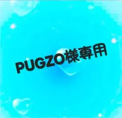 PUGZO様専用ページ