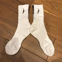 インザペイント　ソックス