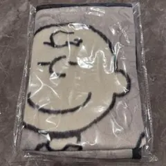 スヌーピー チャーリーブラウン ブランケット ひざ掛け