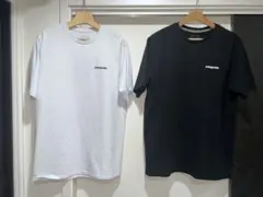 最終価格　正規品　2枚セット　極美品　パタゴニア　Tシャツ　P-6ロゴ　Mサイズ