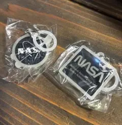 SPACE STATION 蓄光アクリルチャーム NASA 2個セット