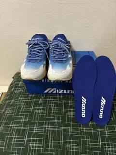 MIZUNO WAVE RIDER β 永井博　29cmのサムネイル