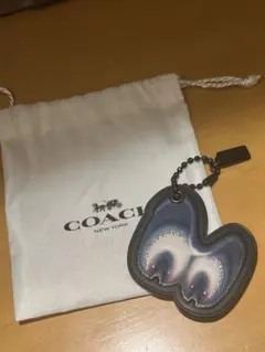 Disney x COACH キーホルダー バッグチャームのサムネイル