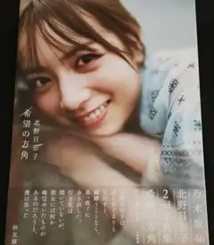 乃木坂46 北野日奈子2nd写真集 希望の方角【値下げしました。】