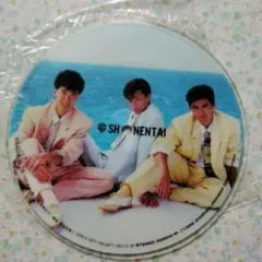 少年隊　Stripe　Blue ピクチャーディスクレコード