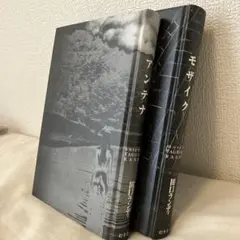 田口ランディ アンテナ モザイク 2冊セット