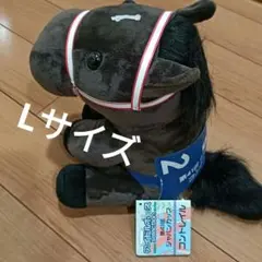 2025年最新】アイドルホースLサイズの人気アイテム - メルカリ
