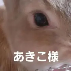 ◆◆あきこ様専用◆◆