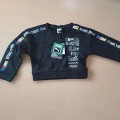 Item thumbnail for item 81a16cf6-8d2a-4986-8164-f86d6340fc71