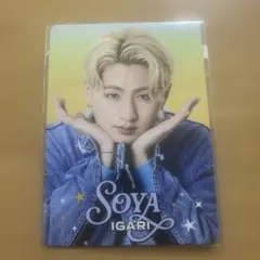 ジュニア　プロフィールカード　猪狩蒼弥