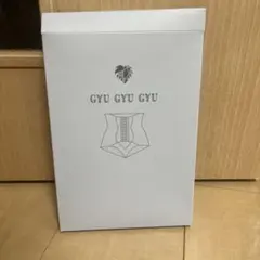 GYU GYU GYU 骨盤ショーツ ブラック Mサイズのサムネイル