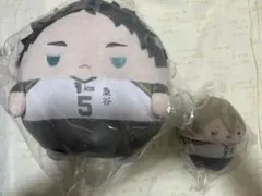 ハイキュー くじメイト ぬいくじ C賞 ふわコロりん Мサイズ 赤葦京治